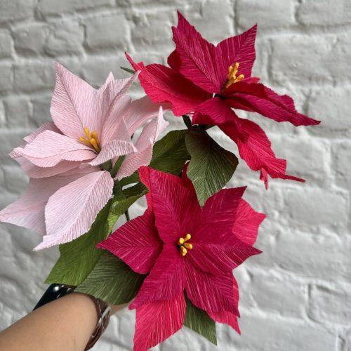 Papieren bloemetjes - kerstster - 13 december