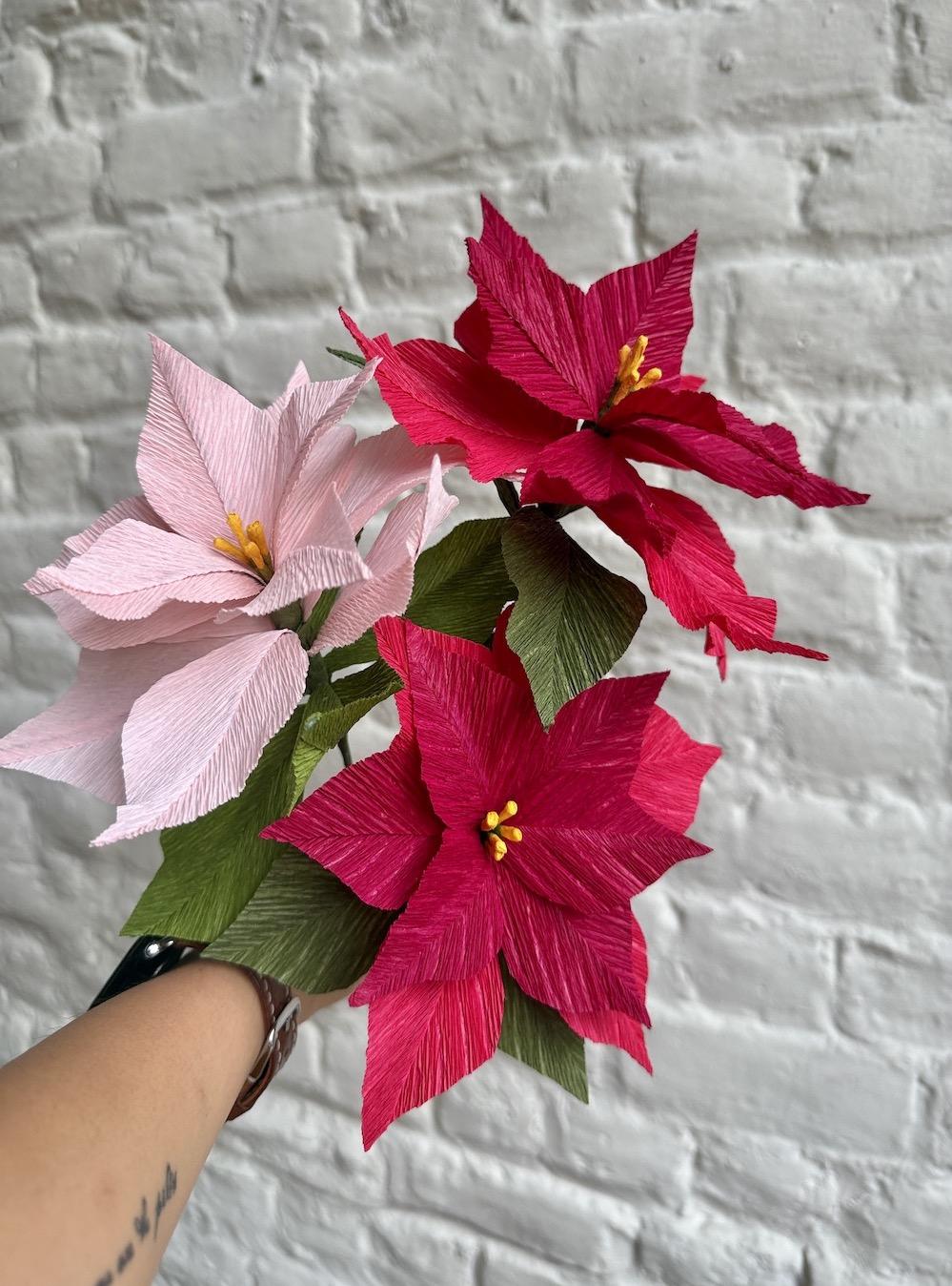 Petites fleurs en papier - Étoile de Noël - 13 décembre 2025