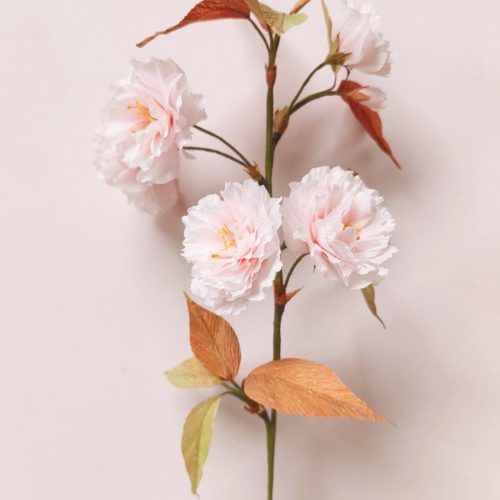 Papieren bloemetjes - Kersenbloesem - 12 april 2026