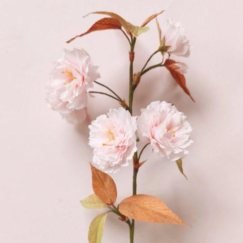 Petites fleurs en papier - Cerisier du Japon - 12 avril 2026