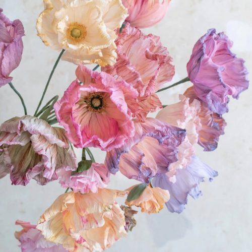 Petites fleurs en papier - Pavot - 11 juillet
