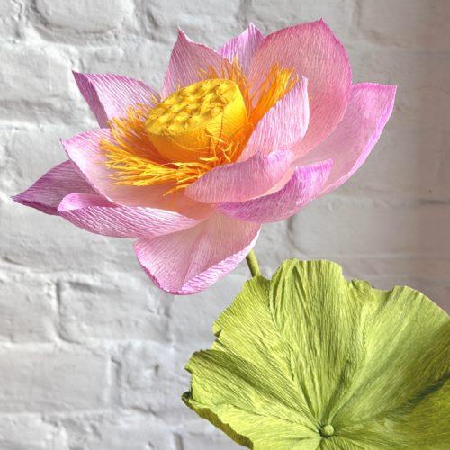 Workshop - Paper Lotus - August 29