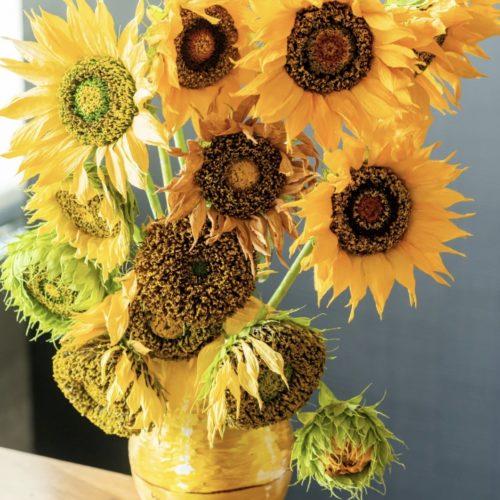 Workshop - Papieren zonnebloem - 27 september